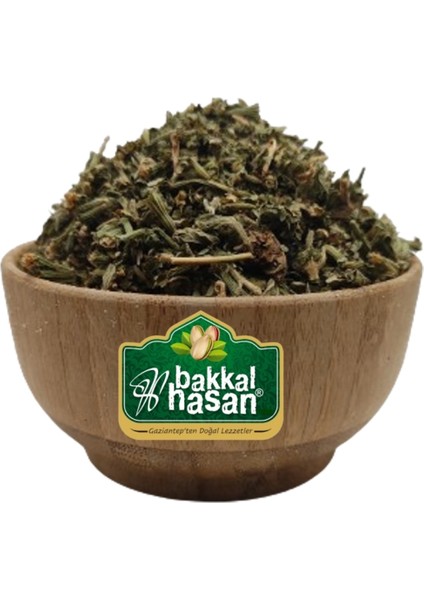 - Mayasıl Otu fiyatları