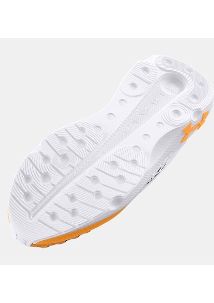 Erkek Ua Infinite Elite We Run Koşu Ayakkabısı 3027971-100