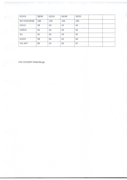 Kadın Rüzgar Gülü Reaktiv Baskı Hakim Yaka Uzun Kollu Tesettür Elbise Su Yeşili indirimleri