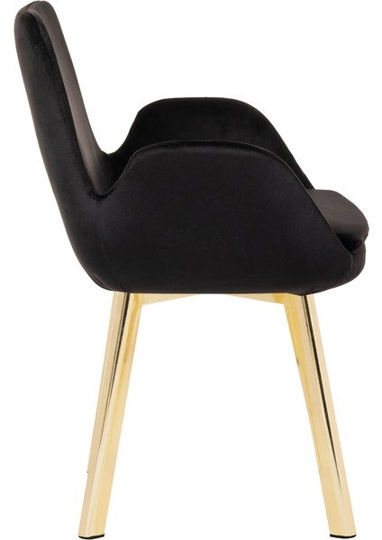Gold Metal Ayaklı Salon/mutfak Sandalyesi Pescado (Babyface) Gold Ayak modelleri