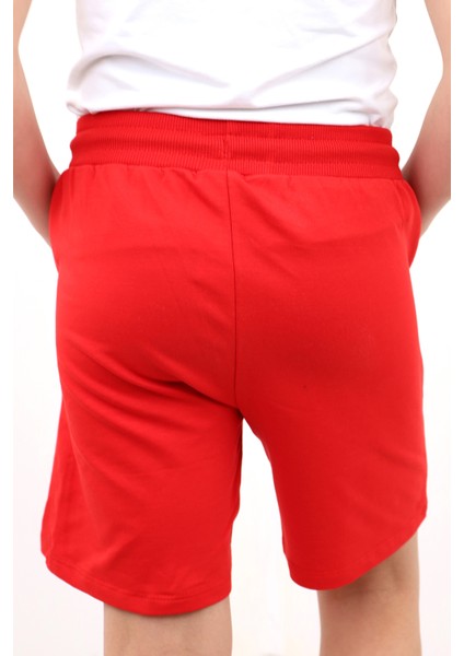 Toontoy Erkek Çocuk 01 Nakışlı Şort modelleri