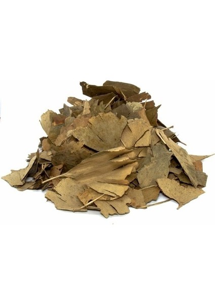 Lokman Aktar Ginkgo Biloba Yaprağı (Mabet Ağacı Yaprağı) 500 gr