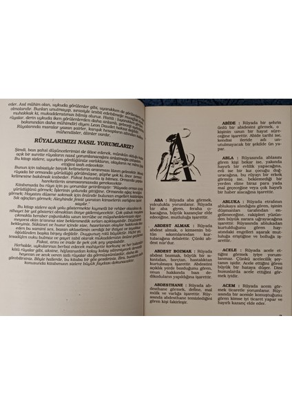 A'dan Z'ye Rüya Yorumları - Mümin Daban