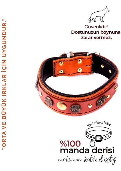 Özel Tasarım Sümerler Deri Köpek Boyun Tasması Turuncu Bordo