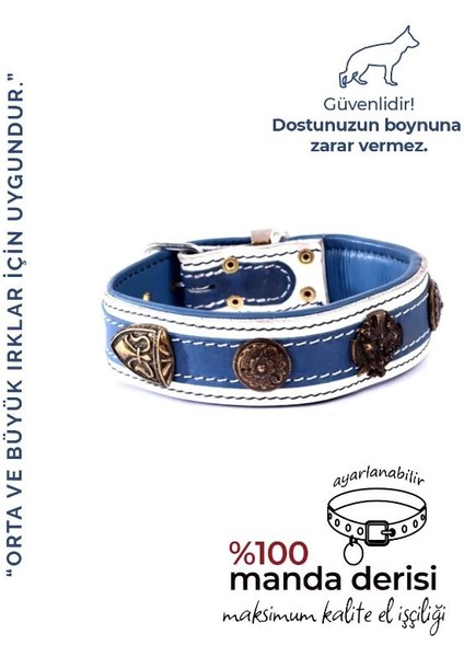 Özel Tasarım Thor Deri Köpek Boyun Tasması Mavi Beyaz