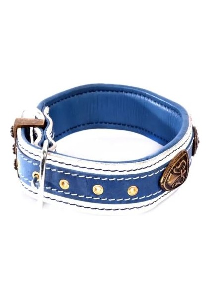 Özel Tasarım Thor Deri Köpek Boyun Tasması Mavi Beyaz modelleri