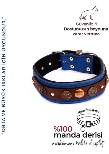 Özel Tasarım Sümerler Deri Köpek Boyun Tasması Lacivert Kahverengi