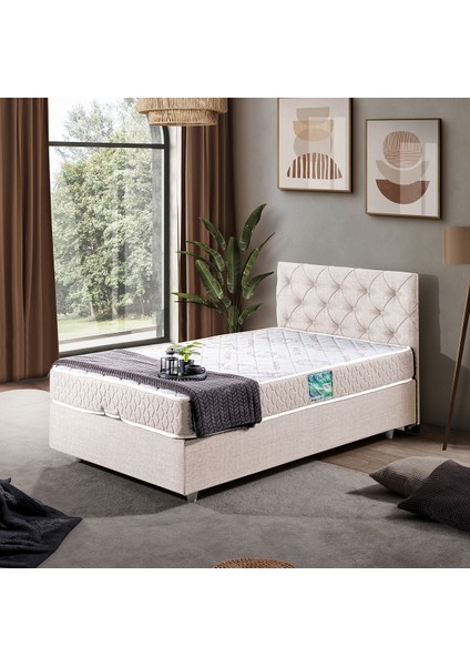 Eylül Tek Kişilik Baza Başlık Comfort Yatak Seti - Krem