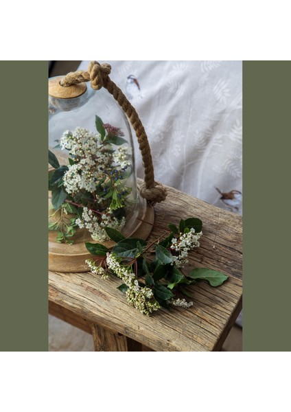 Senses Elysian Bej Çift Kişilik Pamuk Pike Takımı modelleri