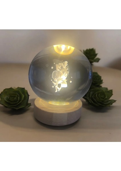 Love Kız Erkek Sevgili Figürlü Xxl Boy USB Girişli Tavana Yansımalı Gece Lambası Küre