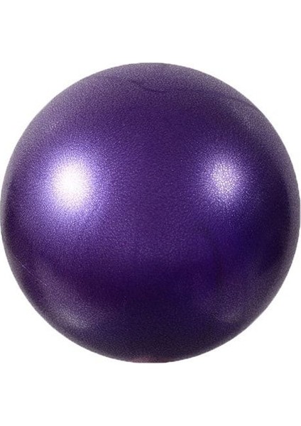 Tekno Trust Mor Mini Pilates Topu 25 cm Fitness Yoga Denge Topu Mor