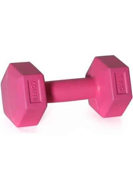 Tekno Trust Plastik 1 kg x 2 Adet Plastik Dambıl Pembe