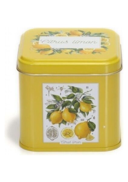 Tekno Trust 1 Parça EF014-Q5 Sn_citrus Limon Desenli Kare Metal Saklama Kabı 9x9 cm Metal Sarı