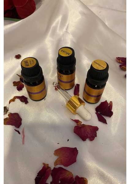 Buhur Esans Buhurdanlık Yağı Esansı 3 Farklı Koku 10 ml Damlalık Hediyeli