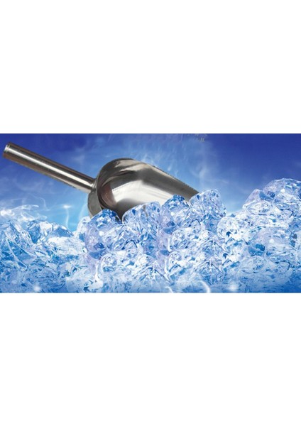 Ş/ Küpü/un/ş/ Çekirdeği/protein Önleyici Için Çeş Paslanmaz Çelik Küreği - 7,68 Inç (Yurt Dışından) fiyatları