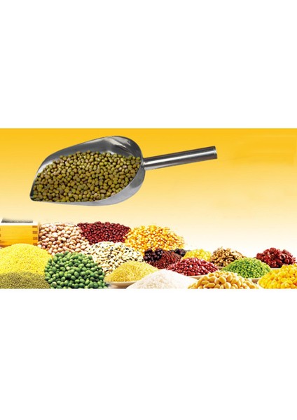 Ş/ Küpü/un/ş/ Çekirdeği/protein Önleyici Için Çeş Paslanmaz Çelik Küreği - 7,68 Inç (Yurt Dışından) modelleri