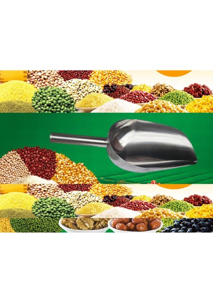 Ş/ Küpü/un/ş/ Çekirdeği/protein Önleyici Için Çeş Paslanmaz Çelik Küreği - 7,68 Inç (Yurt Dışından) fırsatları