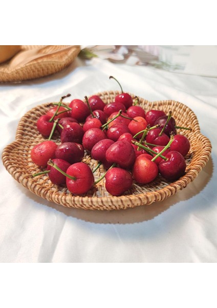 Mutfak Için Yuvarlak Rattan Tepsisi Yemek Örü 21CMX3CM (Yurt Dışından) indirimleri