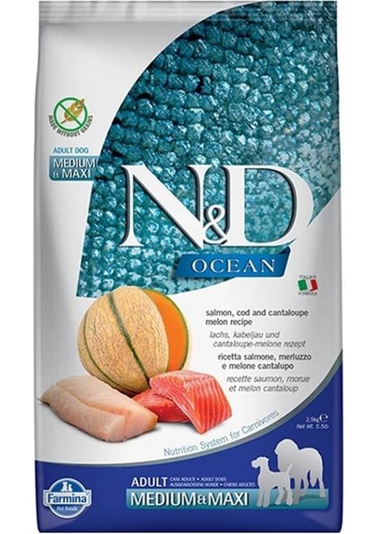 Ocean Balıklı & Kavunlu Tahılsız Yetişkin Köpek Maması 2.5Kg