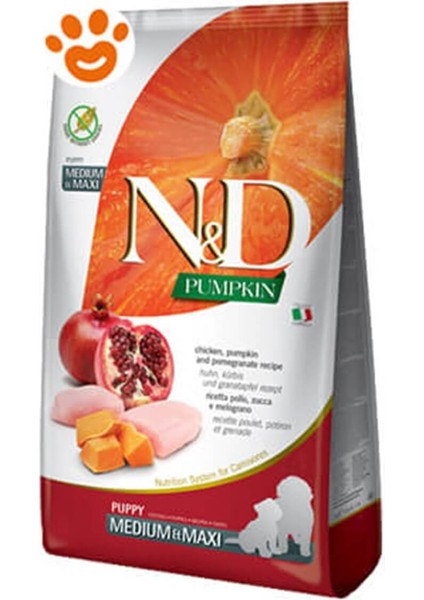 Balkabaklı Tavuklu Narlı Yavru Köpek Maması 12Kg