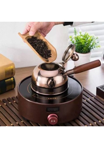 Indüksiyon Ocak Yan Kol Tenceresi, 304 Paslanmaz Çelik Elektrikli Seramik Soba Düz Dip Kung Fu Çay Su Isıtıcısı (Yurt Dışından)
