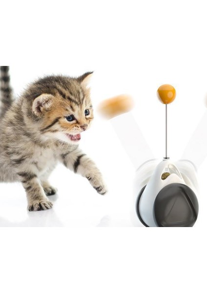 Interaktif Kedi Oyuncaklar Catnip Rulo Topu ile Teaser Sopa Tumbler Iq Geliştirmek Eğitim Oyuncaklar Kitten Oyna Eğlence Pet Malzemeleri | Kedi Oyuncakları (Yurt Dışından)