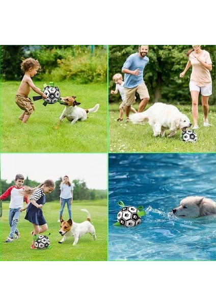 Interaktif Futbol Oyuncakları Küçük Köpekler Için Isırıl Dayanıklı Tpu Topu Evcil Hayvanlar Oyuncak Küçük Köpekler Için Açık Köpek Eğitim Aksesuarları | Köpek Oyuncakları (Yurt Dışından) modelleri