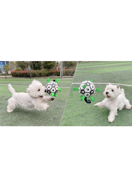Interaktif Futbol Oyuncakları Küçük Köpekler Için Isırıl Dayanıklı Tpu Topu Evcil Hayvanlar Oyuncak Küçük Köpekler Için Açık Köpek Eğitim Aksesuarları | Köpek Oyuncakları (Yurt Dışından) fırsatları