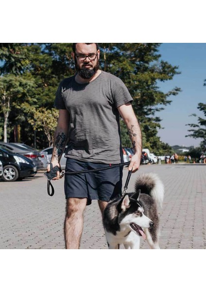 Köpek Araba Emniyet Kemeri, Yansıtıcı Patlama Profesyonel Araba Pet Tasması (Yurt Dışından) fırsatları