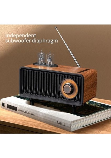 Vintage Fm Radyo (Yurt Dışından)