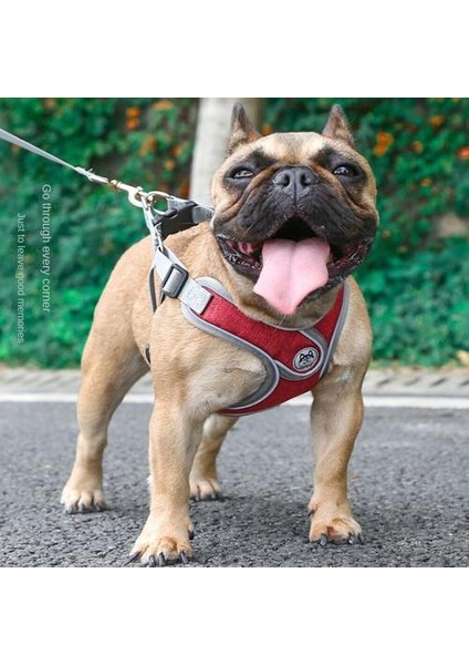 Köpek Tasması, Yelek Tipi Küçük ve Orta Köpek Zinciri (Yurt Dışından)