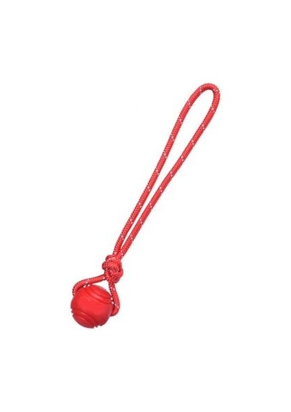 Pet Oyuncak Top Ipi, Etkileşimli Yansıtıcı Ip Eğitimi Isırık Kuvveti ve Isırık Direnci (Yurt Dışından)