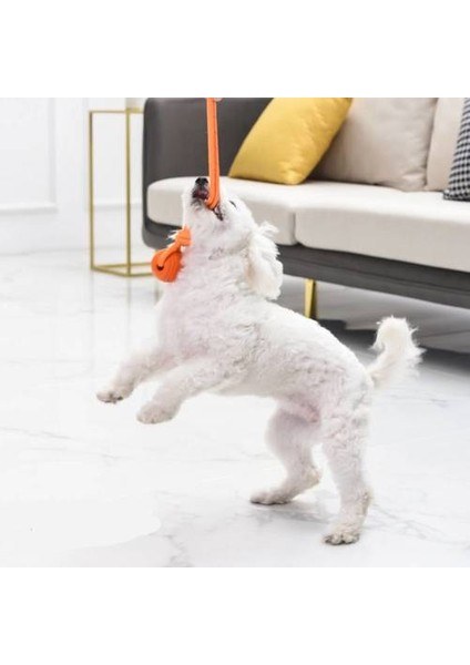 Pet Oyuncak Top Ipi, Etkileşimli Yansıtıcı Ip Eğitimi Isırık Kuvveti ve Isırık Direnci (Yurt Dışından) indirimleri