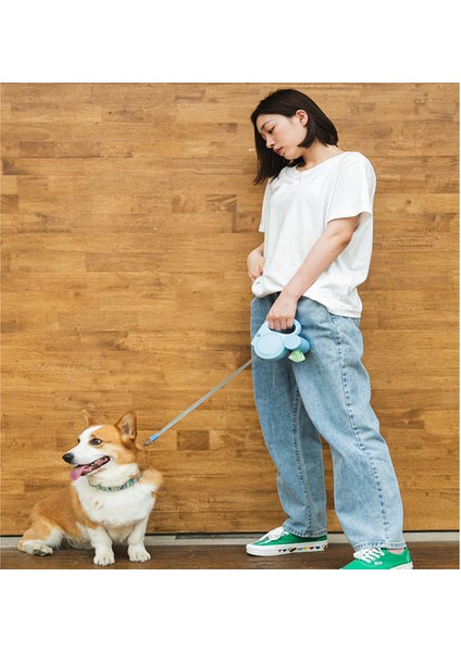 Köpek Tasması, Otomatik Geri Çekilebilir Küçük ve Orta Boy Köpek Evcil Hayvan Malzemeleri Işıkla (Yurt Dışından) indirimleri