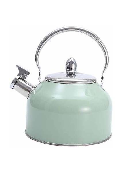 2.5l Renk Sprey Japon Paslanmaz Çelik Su Isıtıcısı, Ev Anti-Ölçekli Gaz Düdük Su Isıtıcısı (Yurt Dışından)