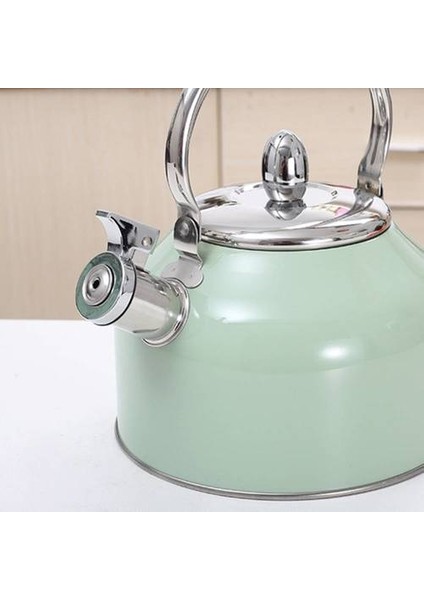 2.5l Renk Sprey Japon Paslanmaz Çelik Su Isıtıcısı, Ev Anti-Ölçekli Gaz Düdük Su Isıtıcısı (Yurt Dışından) fiyatları