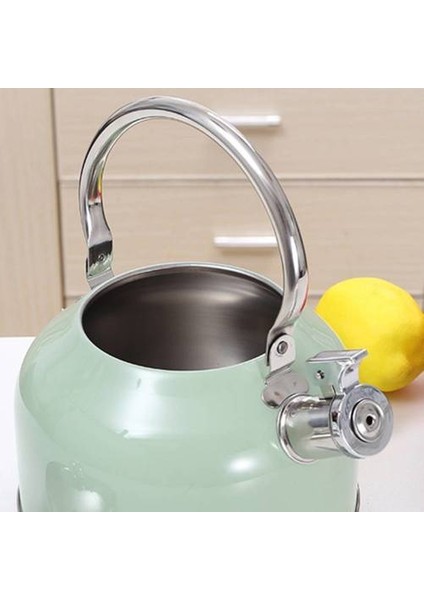 2.5l Renk Sprey Japon Paslanmaz Çelik Su Isıtıcısı, Ev Anti-Ölçekli Gaz Düdük Su Isıtıcısı (Yurt Dışından) modelleri