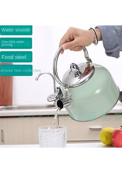 2.5l Renk Sprey Japon Paslanmaz Çelik Su Isıtıcısı, Ev Anti-Ölçekli Gaz Düdük Su Isıtıcısı (Yurt Dışından) fırsatları