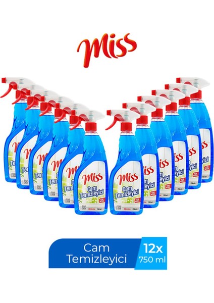 Cam Temizleyici Spreyli 750 ml x 12 Adet