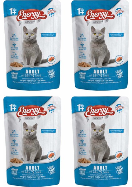 Somonlu Yetişkin Yaş Pouch Kedi Maması 85 gr 4 Adet