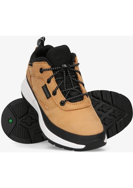 Tımberland Field Trekker Low TB0A2G3U2311