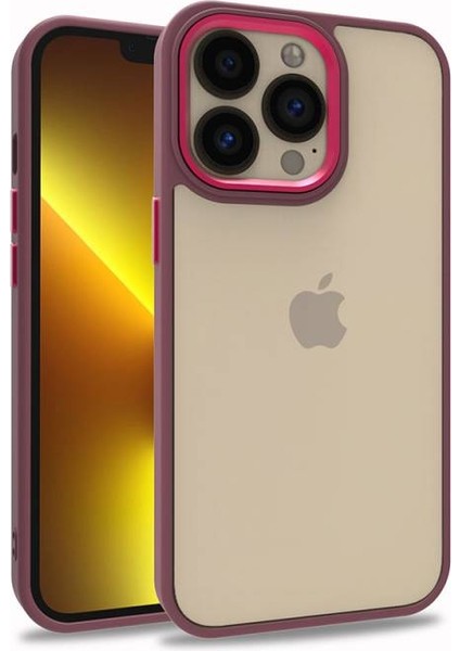 iPhone 13 Pro Şık Görünümlü ve Arkası Şeffaf Flora Premium Kılıf
