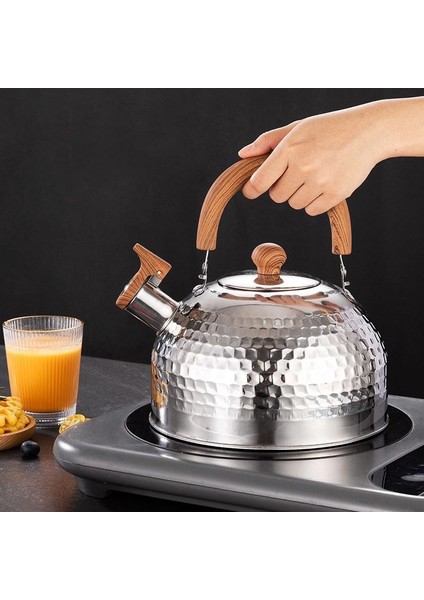 Çelik Parlak 3000 ml Düdüklü Çaydanlık Su Isıtıcısı cin732khv