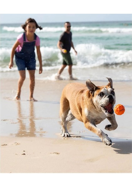 Tailwind Köpek Oyuncağı Top