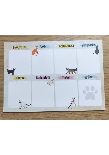 Haftalık Planlayıcı Kediler / Cats A4 Weekly Planner fiyatları