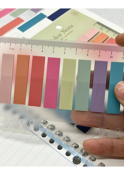 10 Renkli Cetvelli Pembe ve Mavi Tonları Şeffaf Pet İndeks / Index Sticker / Postit / Post-it