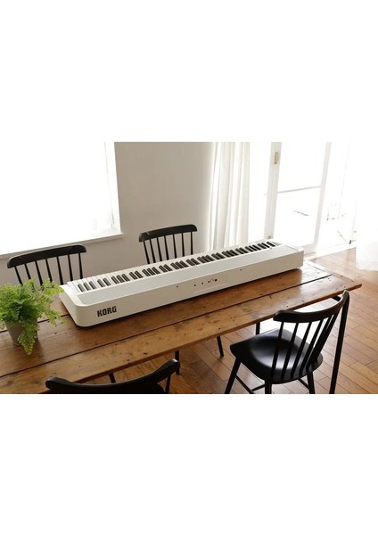 B2-WH Korg