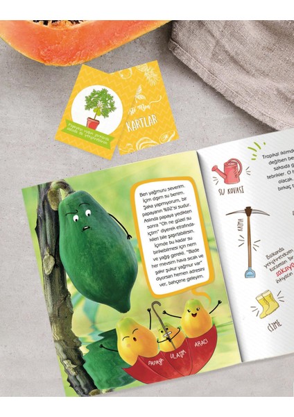 Merak Ettiğin Papaya