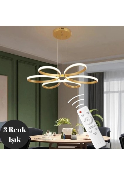 Nipul Eskitme Sarkıt Modern Kumandalı 3 Renk Ledli Avize