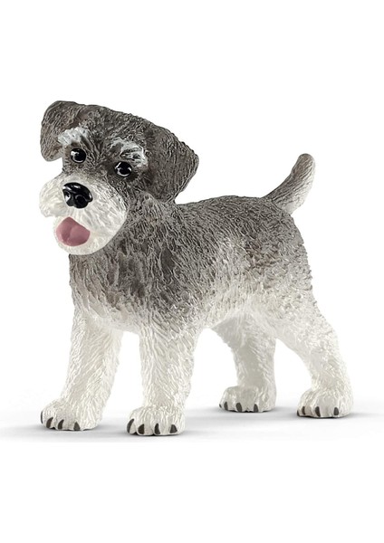 Farm World Minyatür Schnauzer